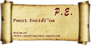 Peszt Enciána névjegykártya